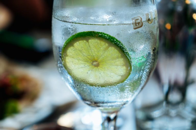 Close-up of a refreshing lime slice in a chilled glass of water, perfect for quenching thirst.